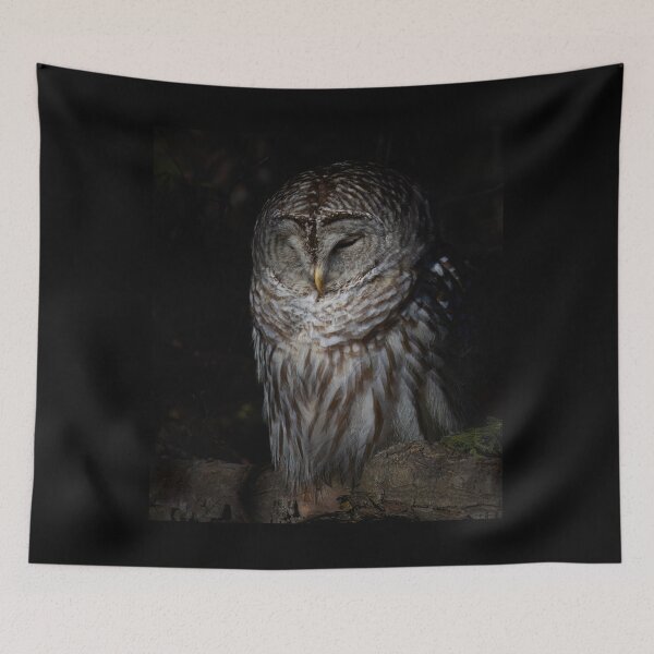 Item preview, Barred Owl designed and sold by James Cumming.
