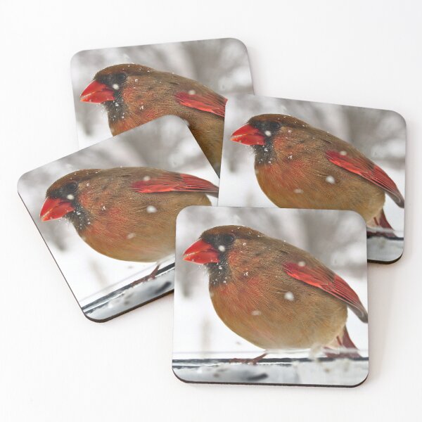 Item preview, Female Cardinal in the snow  designed and sold by McFleur's Lens.