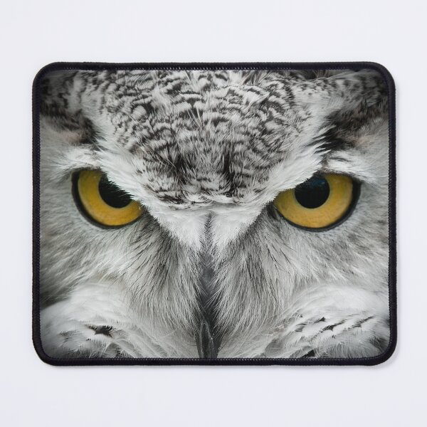 Item preview, GHO Stare Down - Great Horned Owl designed and sold by Tortoise Productions.