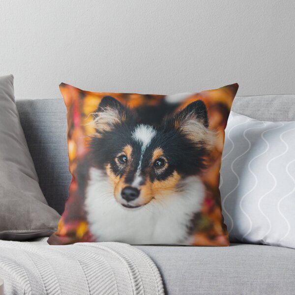 Item preview, Tricolor Sheltie puppy Winnie designed and sold by WeightPulling.