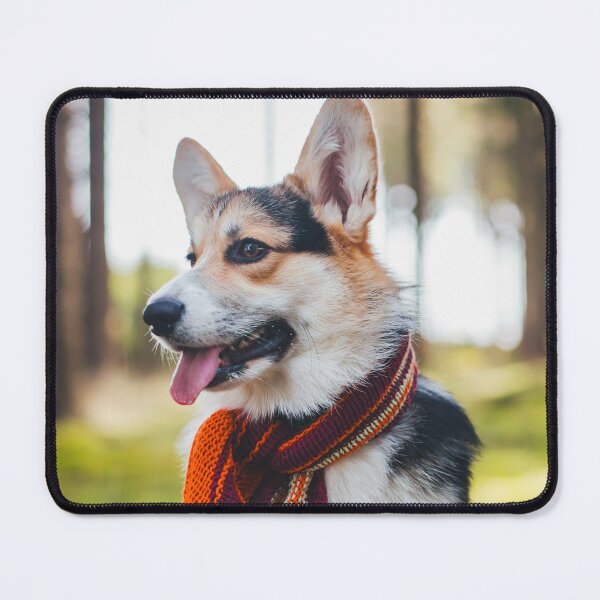 Item preview, Welsh Corgi Pembroke in the autumn wearing a scarf designed and sold by WeightPulling.