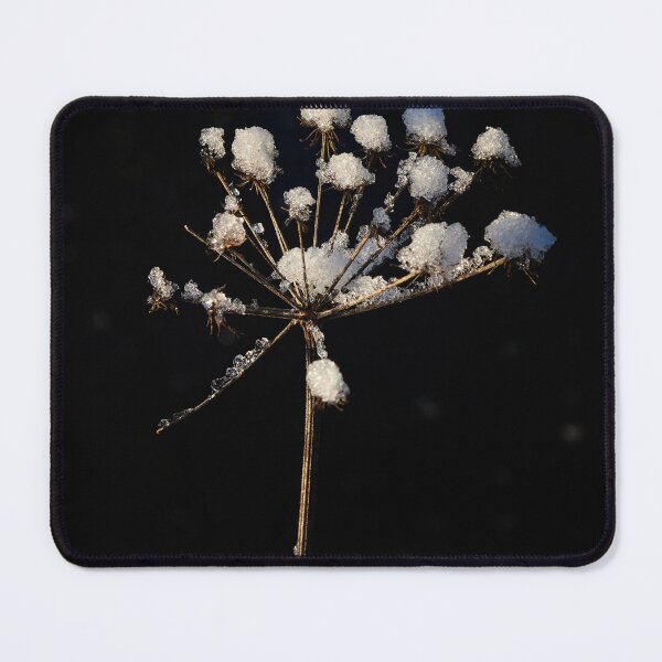 Artikelvorschau, Winterblume und der schwarze Fluss entworfen und verkauft von Jouko Lehto Photography.