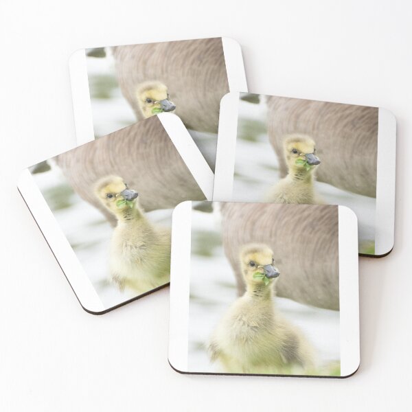 Item preview, gosling with clover designed and sold by sarelitay.