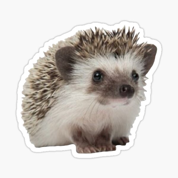 Item preview, cute hedgehog designed and sold by ro-xy.