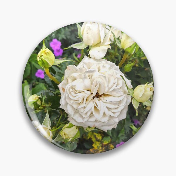 Item preview, White Rose in Garden Display designed and sold by jalfc46.