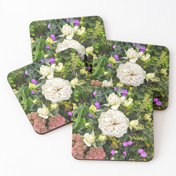 Item preview, White Rose in Garden Display designed and sold by jalfc46.