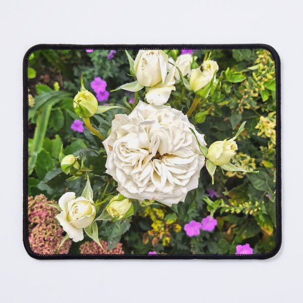 Item preview, White Rose in Garden Display designed and sold by jalfc46.