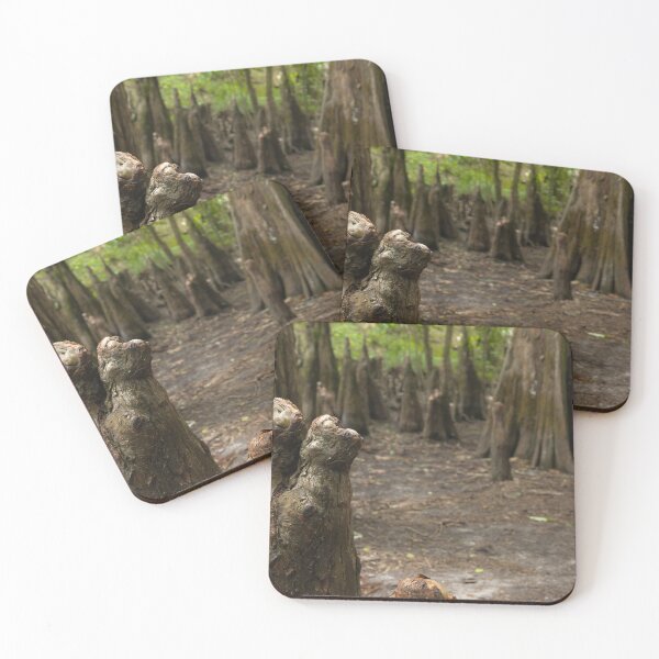 Item preview, This captivating photograph showcases the timeless beauty of ancient mangrove trees along the Hillsboro River in State Park.  designed and sold by EyezWatchin.