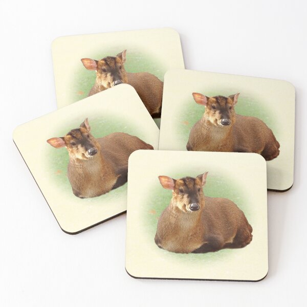 Item preview, Muntjac designed and sold by Guardi71.