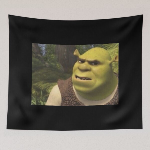 Item preview, MeMe "Shrek confused" designed and sold by PatronesKawai.