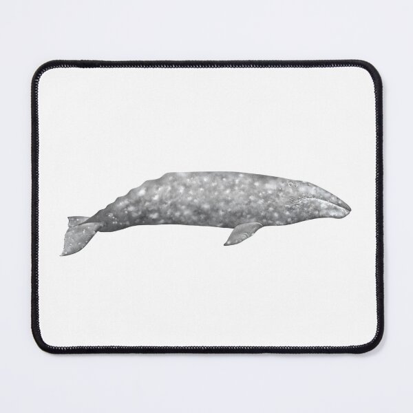 Item preview, Grey Whale Wildlife Illustration designed and sold by Lauren Fitton Illustration.