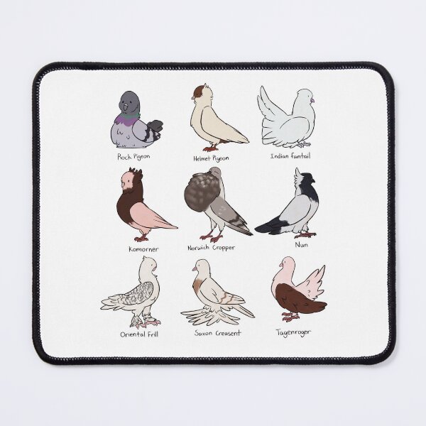Item preview, Pigeon Species designed and sold by Cloudyskys Shop.