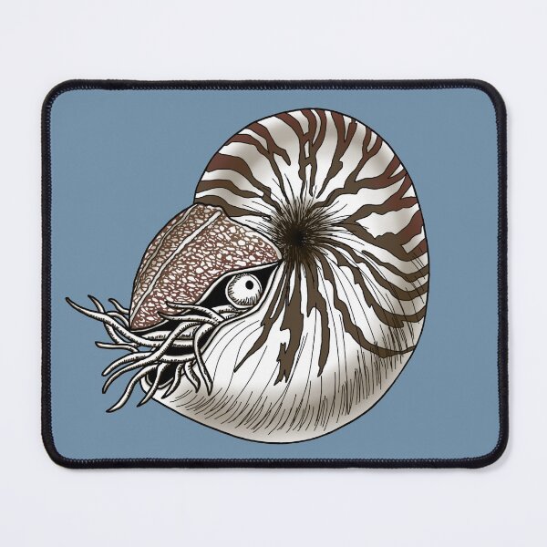 Item preview, Nautilus designed and sold by SunsetFirefly.