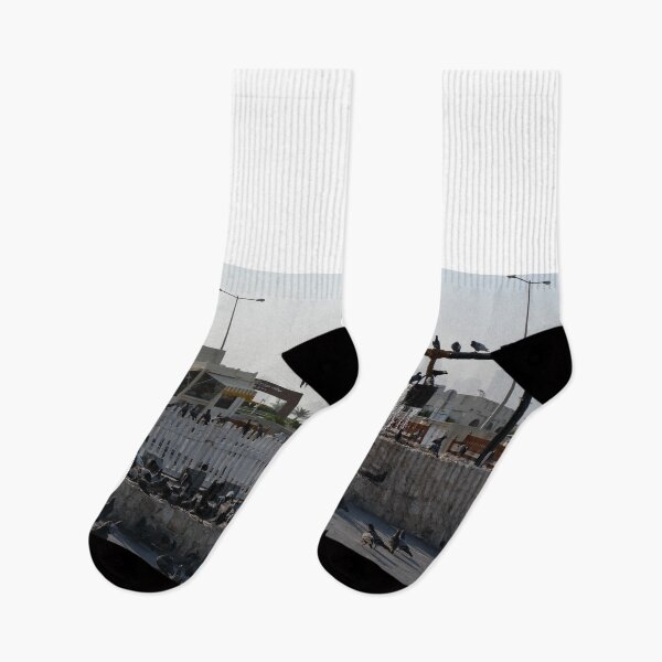 Item preview, Street Photography Doha Qatar Middle East Pigeons Bird Swimming Summer designed and sold by holaitssher.