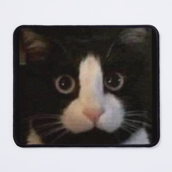 Item preview, MeMe "Chicken Cat" designed and sold by PatronesKawai.
