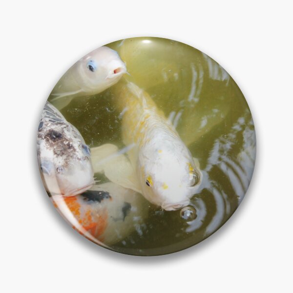 Item preview, Koi Fish designed and sold by SunsetFirefly.
