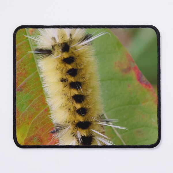 Item preview, FUZZY designed and sold by adumont1.
