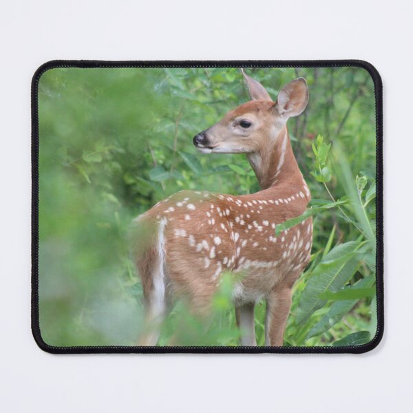 Item preview, Cute Brave Fawn in the Garden designed and sold by SienaBlue.