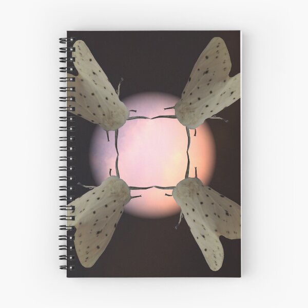 Item preview, Moths dance to the moon designed and sold by Sandra Willis.
