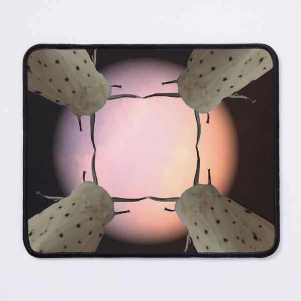 Item preview, Moths dance to the moon designed and sold by Sandra Willis.
