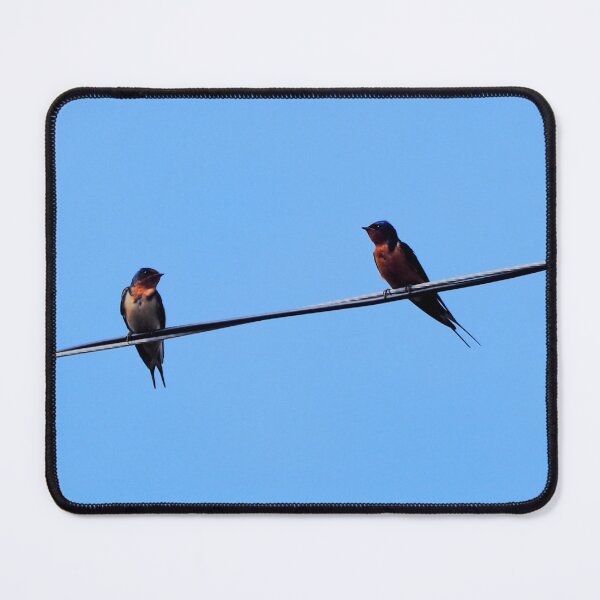 Item preview, Perching Barn Swallows designed and sold by BackyardBirder.