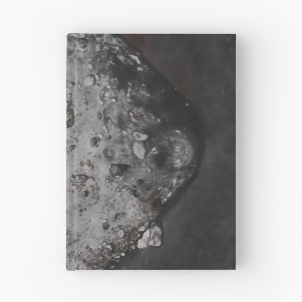 Item preview, Asteroid Bennu - 500m - Asteroid Approach [scale series 1 of 4] designed and sold by AsteroidBennu.