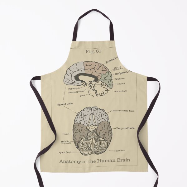Item preview, Anatomy of the Human Brain (Earth Tones) - Vintage Textbook Figure designed and sold by MicroMarket.