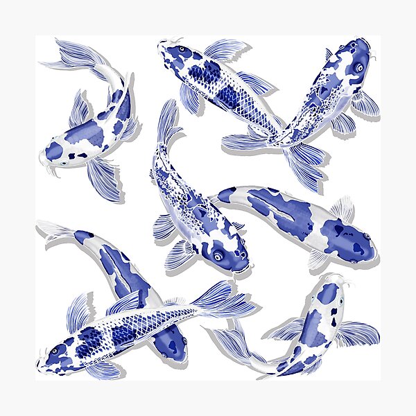 Item preview, Blue and White Koi Fish Artwork – Zen Wall Decor for Home & Office designed and sold by Phat Dog Designs .