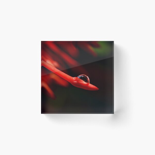 Item preview, simply red designed and sold by michelle meenawong.