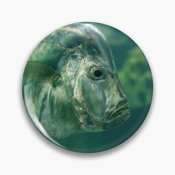 Item preview, Underwater View of an Atlantic Moonfish designed and sold by jrtwynam.