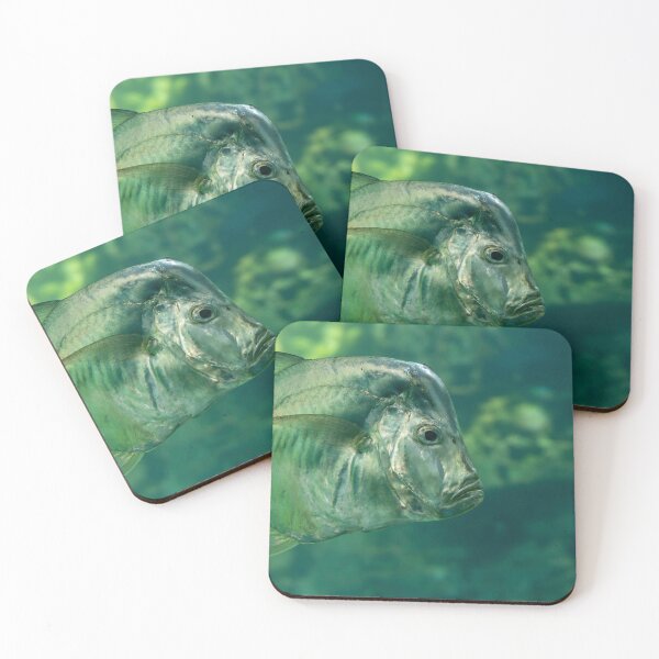 Item preview, Underwater View of an Atlantic Moonfish designed and sold by jrtwynam.