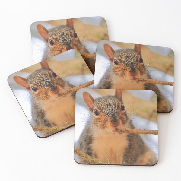 Item preview, Squirrel  designed and sold by Parks and X.