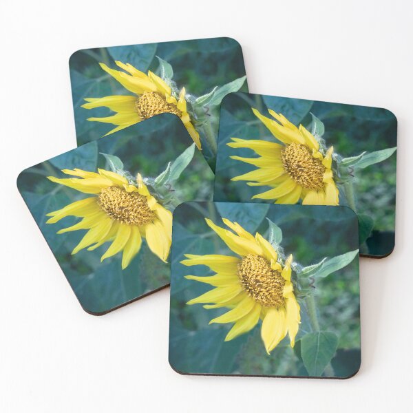 Item preview, Happy Sunflowers Helianthus Abstract X179 designed and sold by RichFrancoCars.
