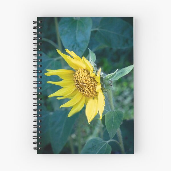 Item preview, Happy Sunflowers Helianthus Abstract X179 designed and sold by RichFrancoCars.