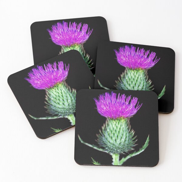 Item preview, Scottish Thistle Macro designed and sold by Tom McPherson Photography.
