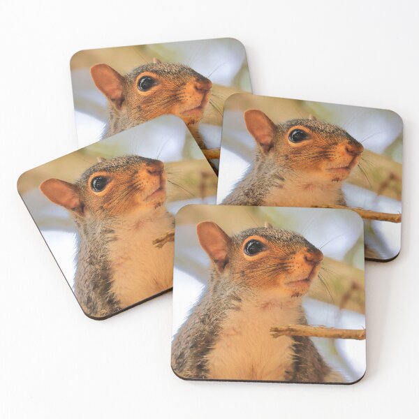 Item preview, Squirrel  designed and sold by Parks and X.