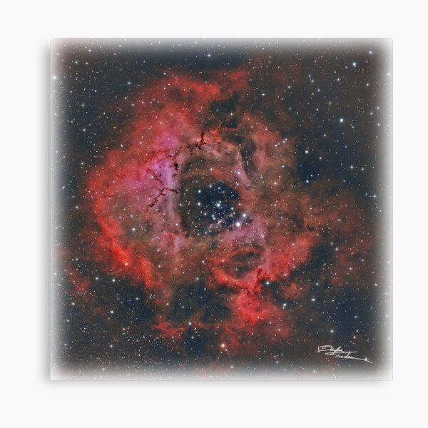 Rosette Nebula - Feathered Look Canvas Print