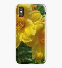 Daffodils iPhone Case