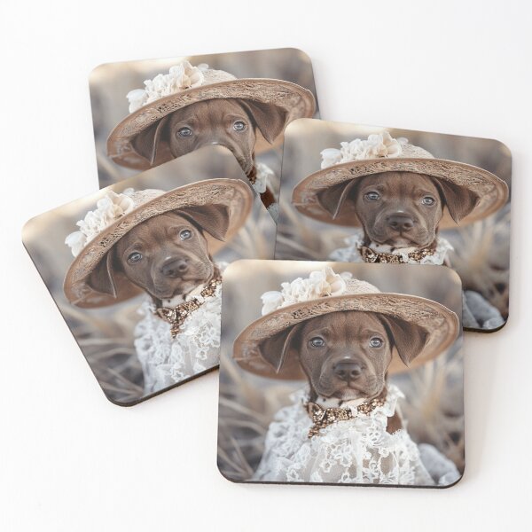 Item preview,  Chic Boho Staffy designed and sold by Nocturne  Paws.