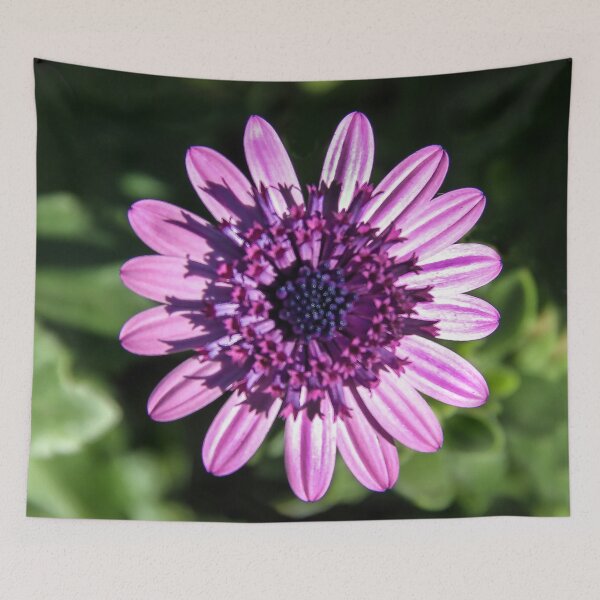 Item preview, Loving the Sunshine designed and sold by heatherfriedman.