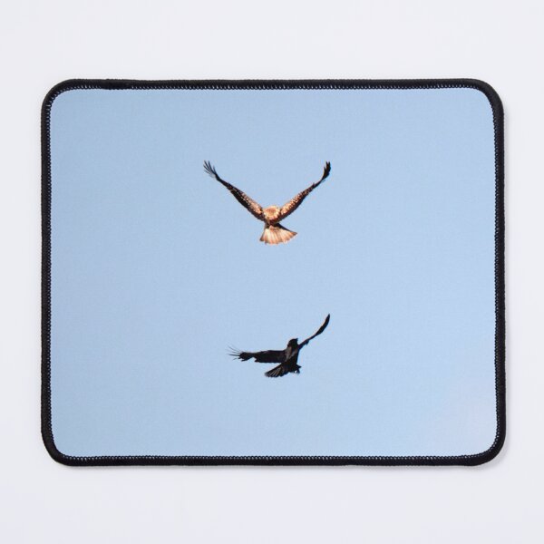 Item preview, A Crow giving a Whitling Kite the move along swoop designed and sold by BirdsAlive.