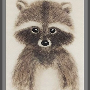 Artwork thumbnail, Hand-drawn Raccoon by MathOwl