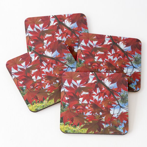 Item preview, Japanese maple designed and sold by GreenNote.