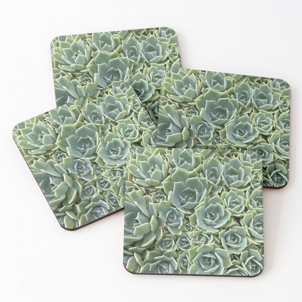Item preview, suculento designed and sold by GreenNote.
