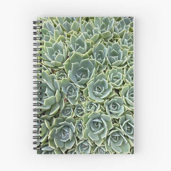 Aperçu de l'œuvre succulent créée et vendue par GreenNote.