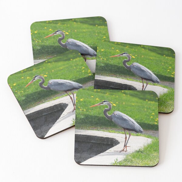 Item preview, Great Blue Heron Standing Next To a Pond designed and sold by BackyardBirder.