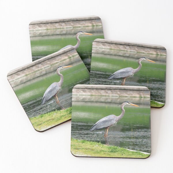 Item preview, Great Blue Heron Staring at a Pond Waiting For a Fish designed and sold by BackyardBirder.