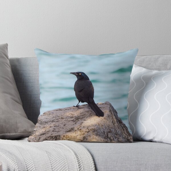 Item preview, Common Grackle Standing On a Rock By The Water designed and sold by BackyardBirder.