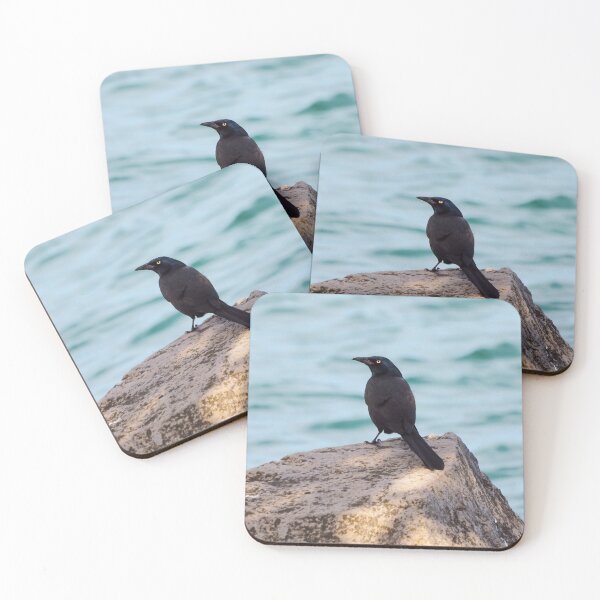 Item preview, Common Grackle Standing On a Rock By The Water designed and sold by BackyardBirder.