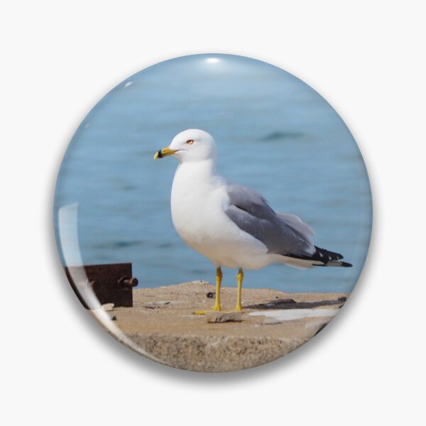 Item preview, Gull Standing By The Water designed and sold by BackyardBirder.